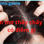 Mơ thấy chấy rận có điềm gì – Nằm mơ thấy chấy rận đánh con gì