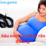 Bà bầu nằm mơ thấy rắn có điềm gì – bà bầu nằm mơ thấy rắn đánh con gì