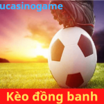 Kèo đồng banh là gì? Kinh nghiệm cược kèo chấp đồng banh